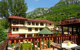Pension Cuibul Viselor