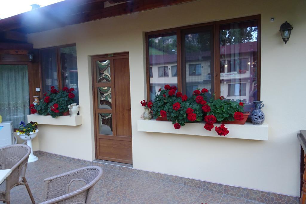 Pension Cuibul Viselor Băile Herculane Exterior foto